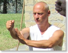 Dante Basili