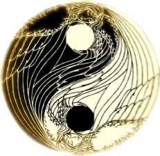taijitu