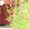 Primavera 02