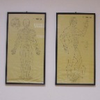 09-Shaolin punti vitali