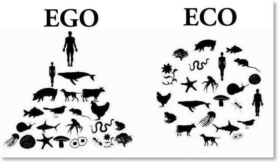 Ego Eco