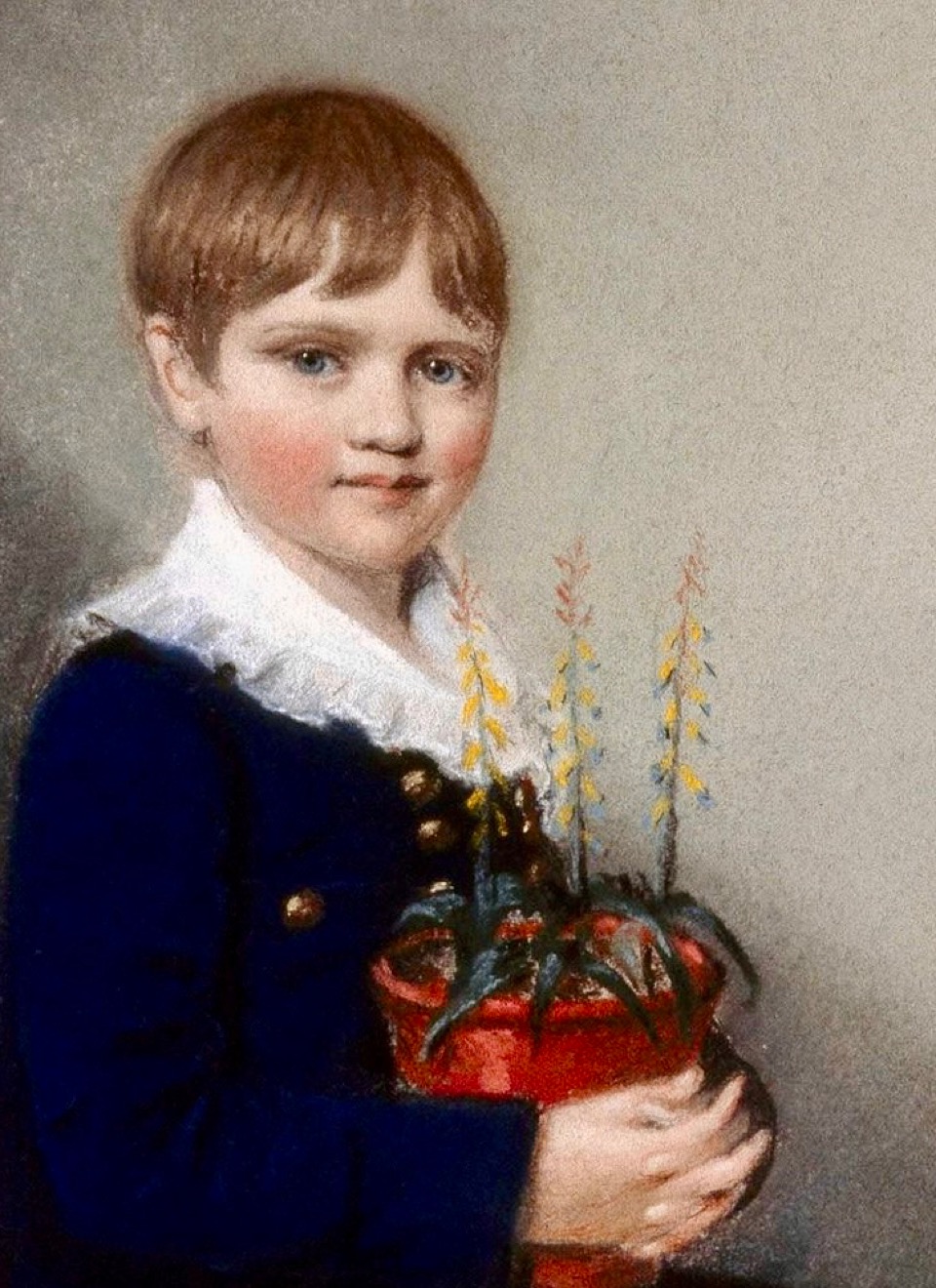 Darwin e vaso fiorito