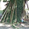 Bastone 10-07-2010